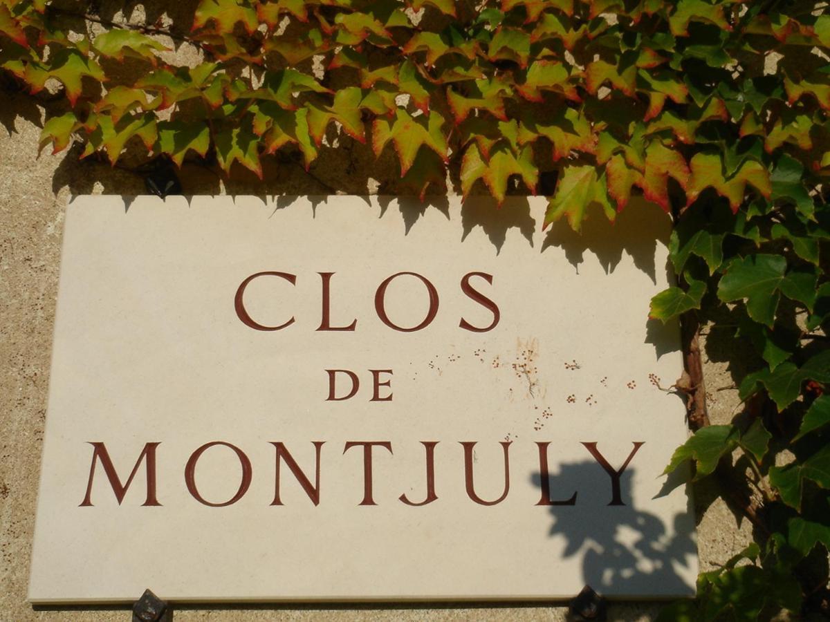 Clos De Mont July, Chambres Avec Vue Et Terrasse Dans Demeure Historique Ceyzeriat Экстерьер фото