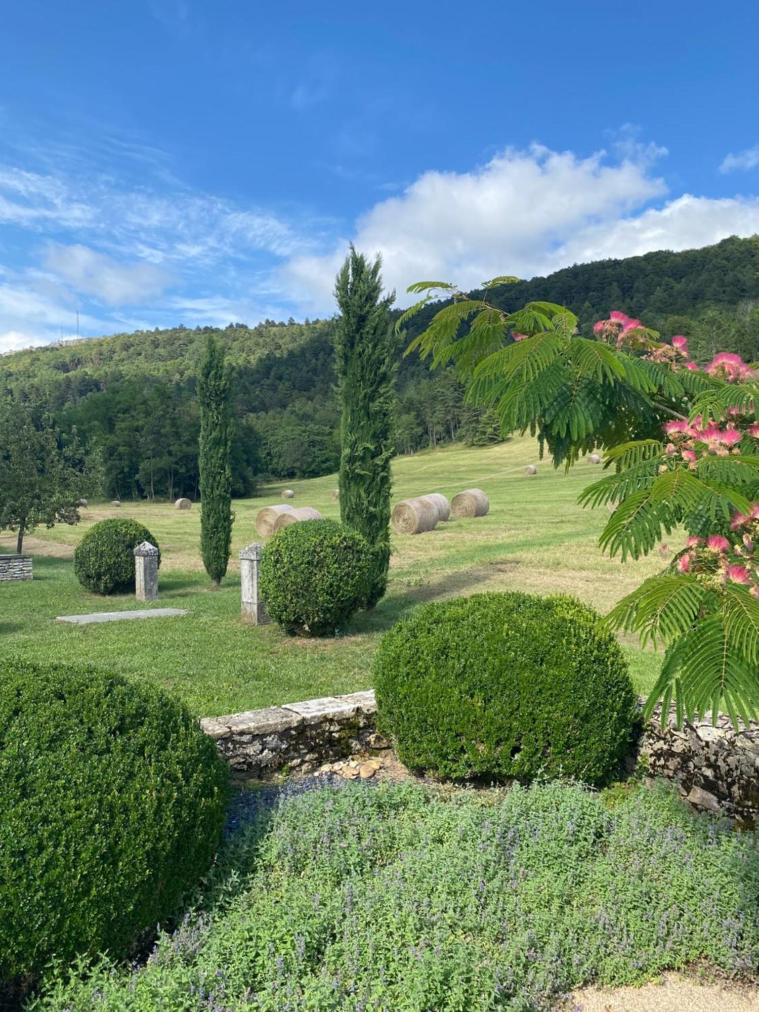 Clos De Mont July, Chambres Avec Vue Et Terrasse Dans Demeure Historique Ceyzeriat Экстерьер фото
